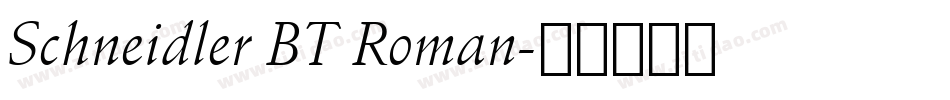 Schneidler BT Roman字体转换